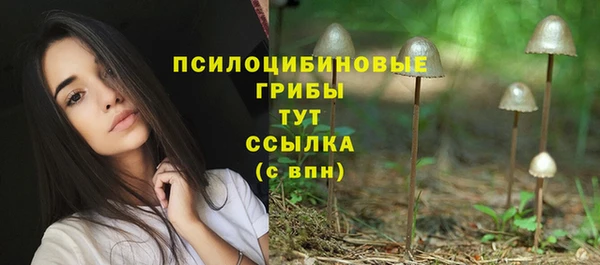 МДПВ Белокуриха