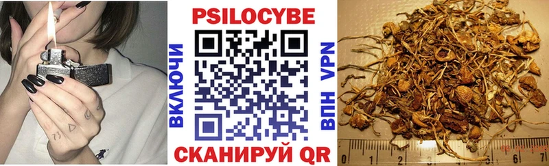 цена   Гудермес  Галлюциногенные грибы MAGIC MUSHROOMS 