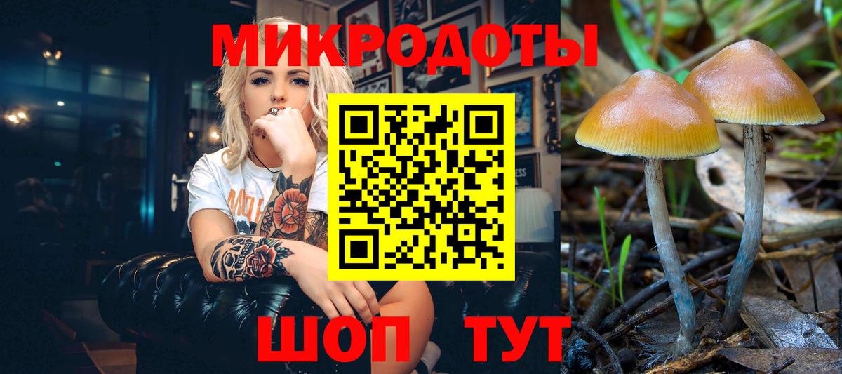 Гудермес  Галлюциногенные грибы Psilocybine cubensis  Вход с VPN  Псилоцибиновые грибы мицелий 